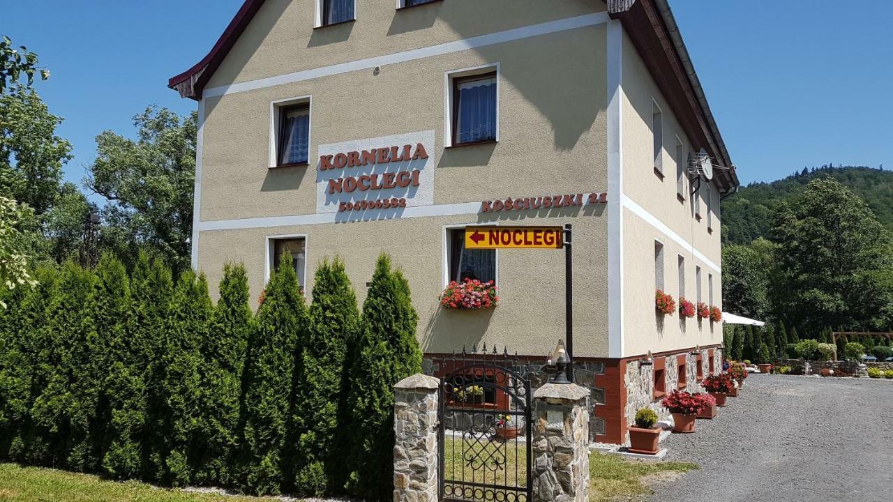 Kornelia Pokoje Goscinne Stronie Śląskie Extérieur photo